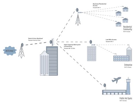 Cellular Area Network 的图像结果