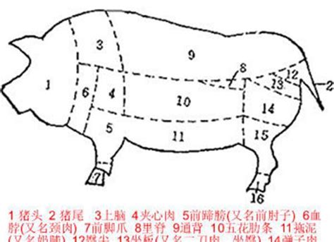 猪肉分割图设计图__DM宣传单_广告设计_设计图库_昵图网nipic.com