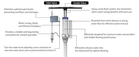 Plantex Flush Tank for Toilet with 8 LTR Water Capacity/Polypropylene ...