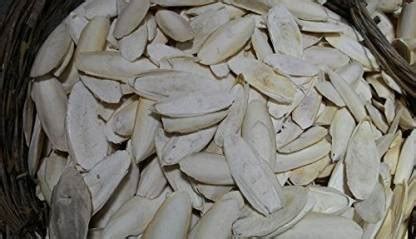 Urancia Marine Foam Samudri Jhag cuttlefish bone Samundari Jhag 1250g ...