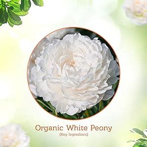 Lotus Organics+ Sheer Brightening Mineral Sunscreen | Non Greasy ...