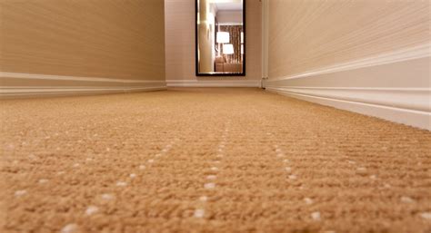 Common Carpet Issues & Solutions to Keep Your Carpet Looking Always ...