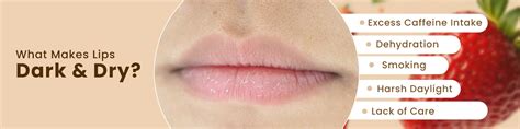 From Dark to Full Pink Lips: Lip Balms That Reduce Pigmentation Like ...