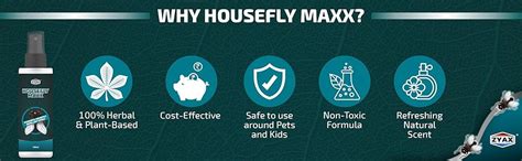 ZYAX Housefly Maxx Housefly Repellent Spray 100ml, Non-Toxic Spray to ...