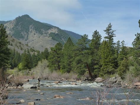 Cache La Poudre River - near Fort Collins-Greeley, CO - Uncover Colorado