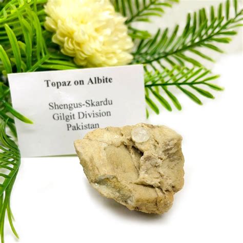 Shop Topaz on Albite Mineral Specimen from Pakistan - Talk to Crystals