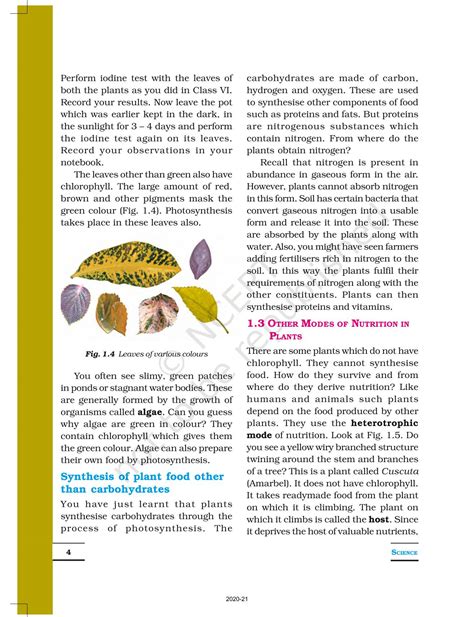 Nutrition In Plants - NCERT Book of Class 7 Science