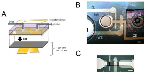 Data Processing of SPR Curve Data to Maximize the Extraction of Changes ...