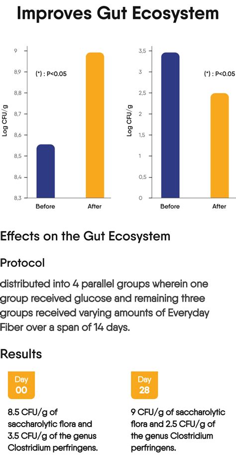 Everyday Fiber | Natural Prebiotic Digestive Fiber for enhanced Gut He