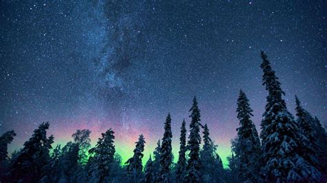 Wallpaper northern lights, starry sky, trees hd, picture, image