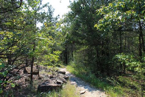 Lake Leatherwood: Beacham Trail Pics | Arklahoma Hiker