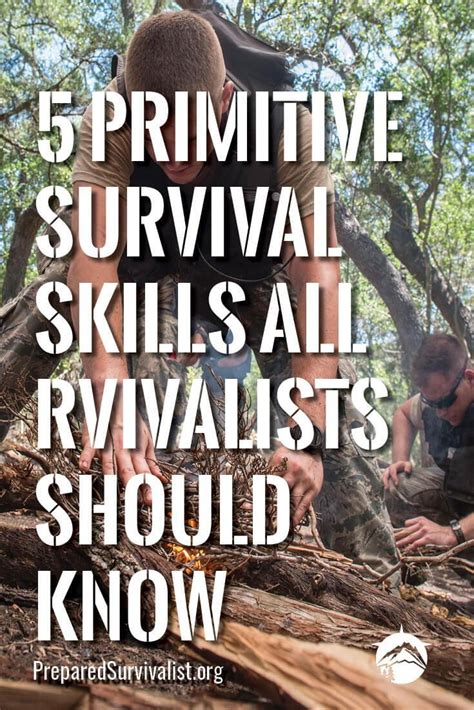 Primitive Videos 的图像结果