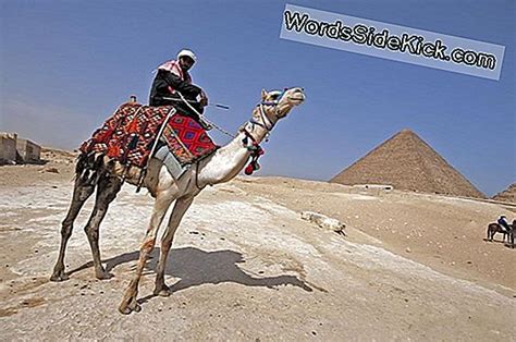Image result for Pyramid Primitive Machine