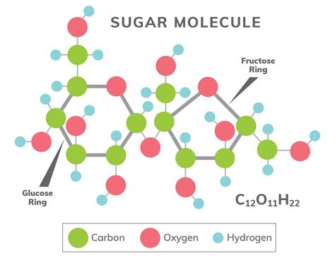What is Sugar? What is Sucrose? - The Sugar Association