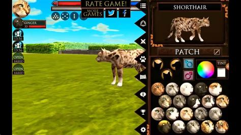 Image result for Ultimate Cat Simulator Tips