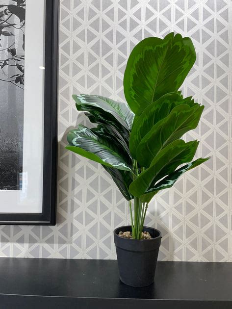 BROWN FIBER INDOOR PLANTER WITH GREEN LEAVES – SUREKH DECOR