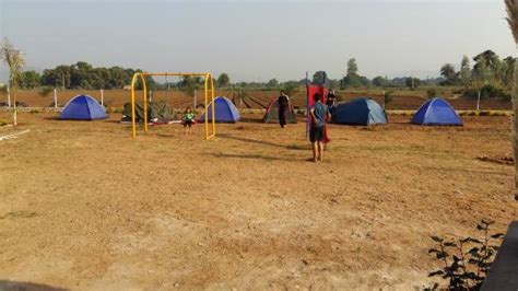 Polo Forest (Gujarat) - What to Know Before You Go (with reviews ...