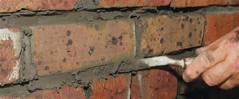 Repair Front Wing Structural Damage 的图像结果