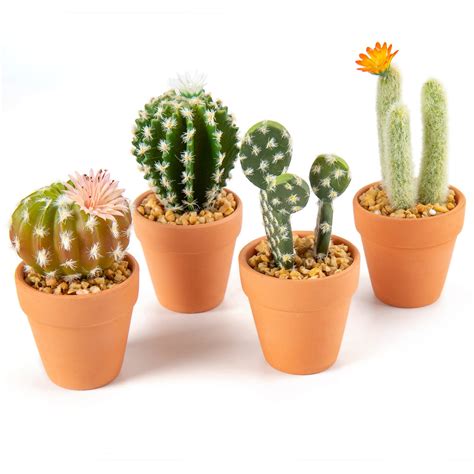 Amazon.com: Mini Artificial Cactus Plants in Terracotta Pots 4 Pcs ...