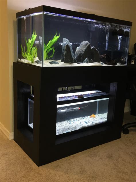 Fish Tanks 40 Gallon