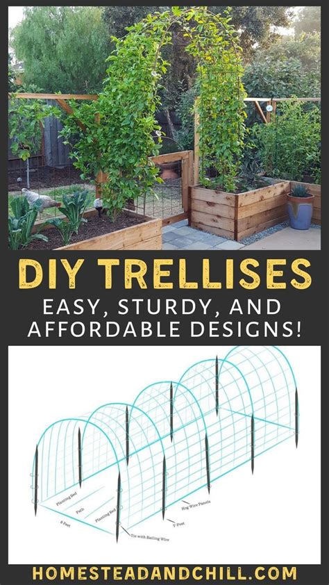 Image result for How to Build a Trellis