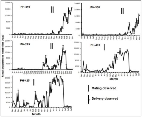 Non-Invasive Reproductive Hormone Monitoring in the Endangered Pygmy ...