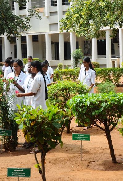 PROGRAMME IN THE SPECIALIZATION OF PHARMACEUTICS