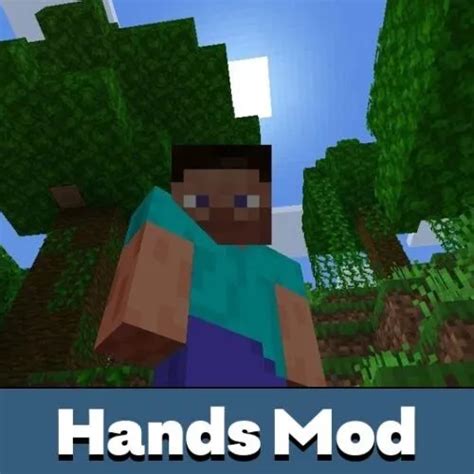 Image result for Custom Hands Minecraft Mod