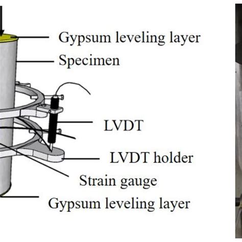 Axial Compression Test 的图像结果