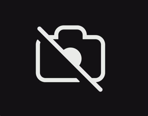 Privacy Switch Camera 的图像结果