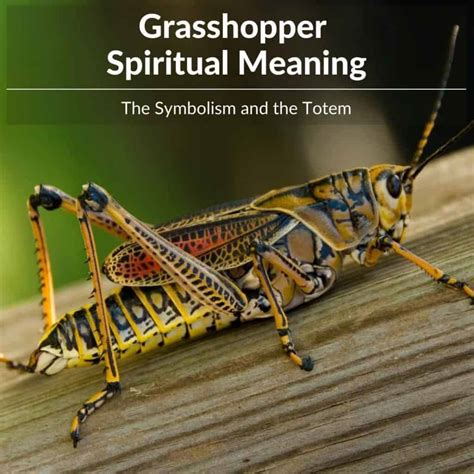 Grasshopper Spiritual Meaning: Unlock Your Inner Wisdom