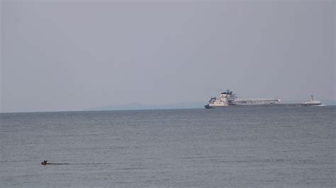 Can deer swim? Michigan couple watches animal wading in waterway
