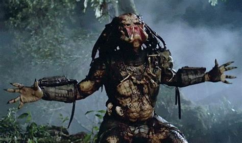 Tabs Predator 的图像结果