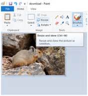Image result for Paint .Net File Compress