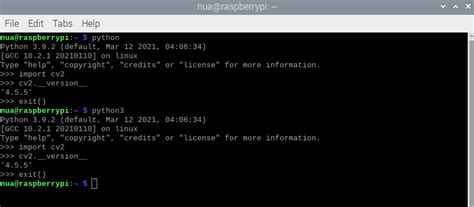 OpenCV 4.1.1 Tutorial Python Raspberry Pi 的图像结果