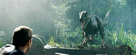 Velociraptor Lore Explained: From Memes to Hybrids and Hollywood ...