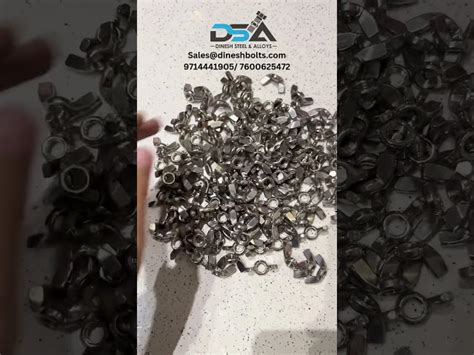 Stainless Steel Nuts - Stainless Steel Spring Nut Manufacturer from ...