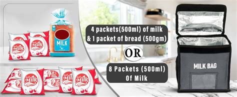 Buy Storite Milk Bag for Door Hanging - Insulated and Waterproof ...