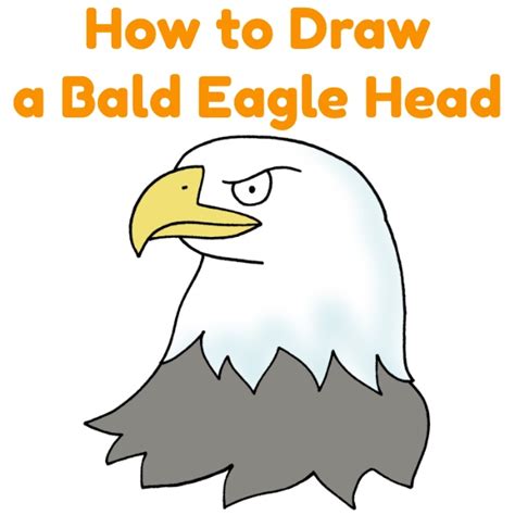 Eagle Draw How Bald 的图像结果