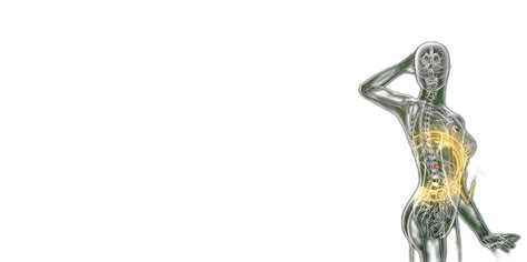 DHEA Sulphate Test (DHEA-S) Online at ₹949 – healthcare nt sickcare