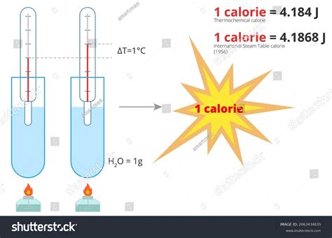 Energy In Calories And Joules at Lynn Sparks blog