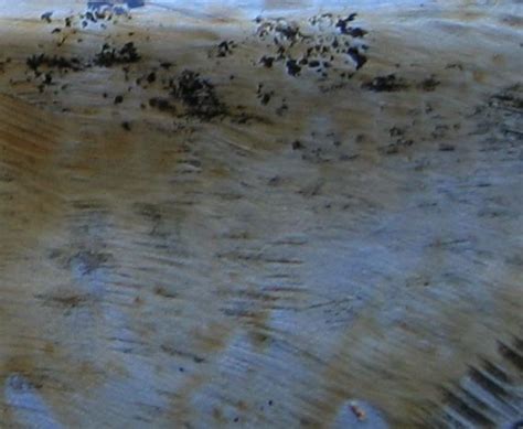 Image result for Rustoleum Rust Converters