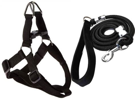 Dog Collars: Buy Dog Belts Online at Best Prices In India | Flipkart.com