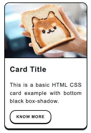 Image result for Card Shadow in HTML CSS