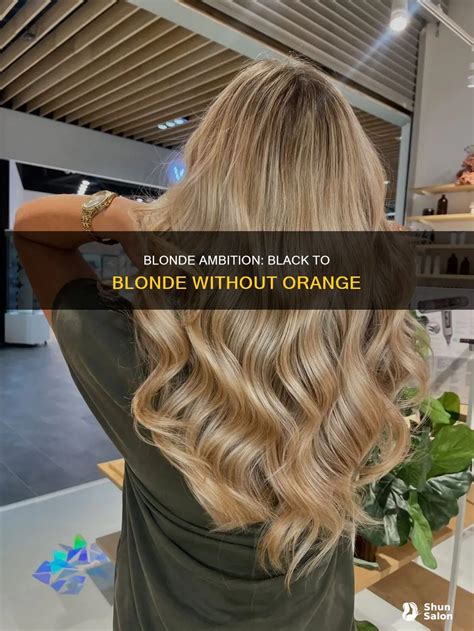 Blonde Ambition: Black To Blonde Without Orange | ShunSalon