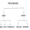 What are indicator? Classify indicator with the help of a flow chart ...