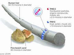 Image result for particulates