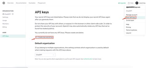 Chatgpt API Key vs Code 的图像结果