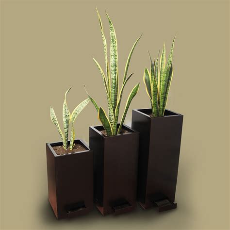 Rectangular Planter Box 的图像结果