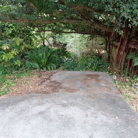 UPUKA UTAKI (2026) All You Should Know BEFORE You Go (w/ Reviews)